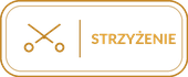 projekt_2_2_strzyzenie_puste_tlo